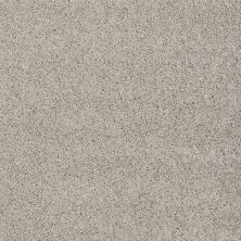 Shaw Floors Value Collections My Choice I Net Glaze