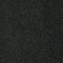 Shaw Floors Value Collections My Choice I Net Peaceful Garden