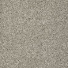 Shaw Floors Value Collections My Choice I Net Rocky Coast