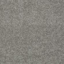 Shaw Floors Value Collections My Choice I Net Fog