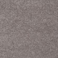 Shaw Floors Value Collections My Choice I Net Sepia