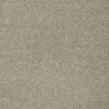 Shaw Floors Value Collections My Choice II Net Cityscape