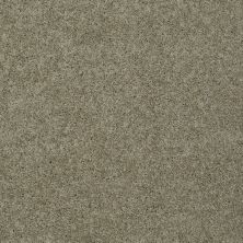 Shaw Floors Value Collections My Choice II Net Smooth Slate