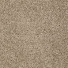 Shaw Floors Value Collections My Choice II Net Cappuccino