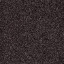 Shaw Floors Value Collections My Choice II Net Urban Loft