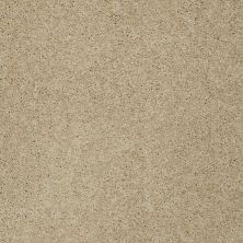 Shaw Floors Value Collections My Choice III Net Mesa