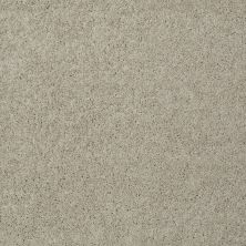 Shaw Floors Value Collections My Choice III Net Bare Essence