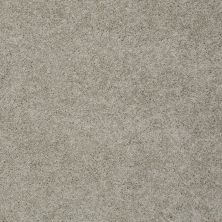 Shaw Floors Value Collections My Choice III Net Natural