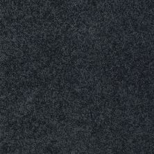 Shaw Floors Value Collections My Choice III Net Patchwork