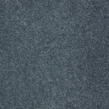 Shaw Floors Value Collections My Choice III Net Old Blue Eyes