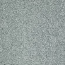 Shaw Floors Value Collections My Choice III Net Stained Glass