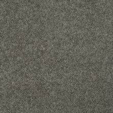 Shaw Floors Value Collections My Choice III Net Grey Flannel