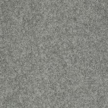 Shaw Floors Value Collections My Choice III Net Charcoal