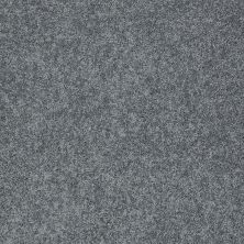 Shaw Floors Value Collections My Choice III Net Atmosphere