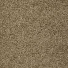 Shaw Floors Value Collections My Choice III Net Twig