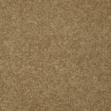 Shaw Floors Value Collections My Choice III Net Honey Pot