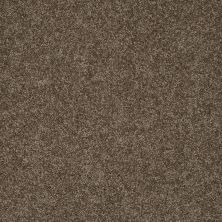 Shaw Floors Value Collections My Choice III Net Weathered Wood