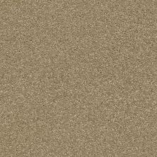 Pet Perfect Plus Basic Rules TEXTURE Shaw Floors Pet Perfect Plus Basic Rules Gold Rush tfsnm-00200_E9639