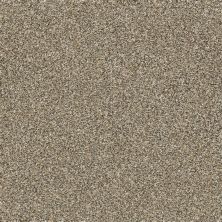 Shaw Floors Bellera Points Of Color II Gold Rush 00200_E9643