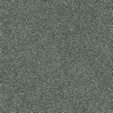 Shaw Floors Bellera Points Of Color II Sea Glass 00300_E9643