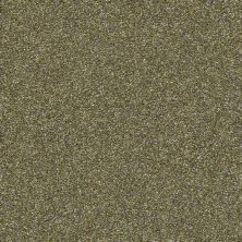 Shaw Floors Bellera Points Of Color II Chameleon 00302_E9643
