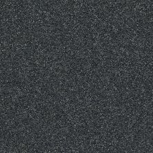 Shaw Floors Pet Perfect Plus Points Of Color II Blue Wing 00310_E9643