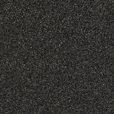 Shaw Floors Pet Perfect Plus Points Of Color II Truffle 00506_E9643