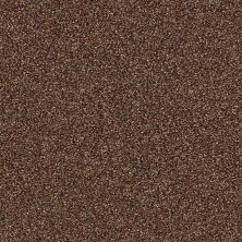 Shaw Floors Bellera Points Of Color II Maple Leaf 00601_E9643