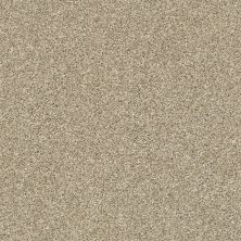 Shaw Floors Bellera Points Of Color II Khaki 00700_E9643