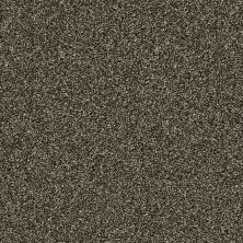 Shaw Floors Bellera Points Of Color II Bark 00705_E9643
