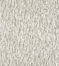 Shaw Floors Pet Perfect Plus Obvious Choice Super Fine 00100_E9648