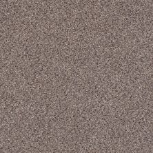Shaw Floors Value Collections Gold Texture Accents Net Granite 00781_E9664