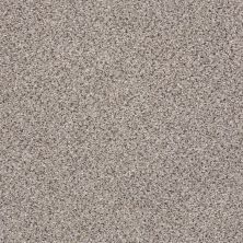 Shaw Floors Value Collections Platinum Texture Accents Net Quartz 00580_E9665