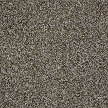 Shaw Floors Value Collections 300sl 15′ Net Griffin 00522_E9667
