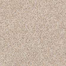 Shaw Floors Value Collections Mix It Up Net Horizon 00172_E9675