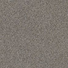 Shaw Floors Value Collections Mix It Up Net Antique Pin 00571_E9675