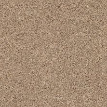 Shaw Floors Value Collections Mix It Up Net Arrowhead 00770_E9675
