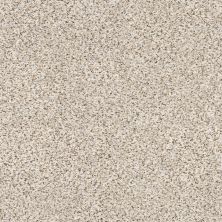 Shaw Floors Foundations Elemental Mix I Net Pixels 00170_E9677