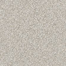 Shaw Floors Foundations Elemental Mix I Net Whitewash 00177_E9677