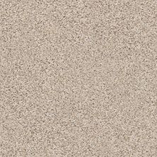 Shaw Floors Foundations Elemental Mix III Net Gentle Rain 00171_E9679