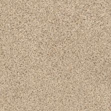 Shaw Floors Foundations Elemental Mix III Net Sand Castle 00174_E9679