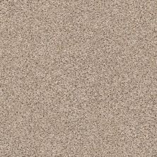 Shaw Floors Foundations Elemental Mix III Net Acreage 00176_E9679