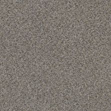 Shaw Floors Foundations Elemental Mix III Net Antique Pin 00571_E9679