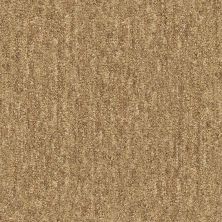 Shaw Floors Foundations Natural Balance 15 Net Basketry