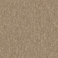 Shaw Floors Foundations Natural Balance 15 Net Stone