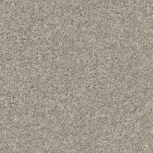 Shake It Up (s) TEXTURE Shaw Floors Shake It Up (s) Cement tfsnm-00510_E9699