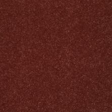 Shaw Floors Value Collections Secret Escape III 12 Ub Net Spiced Coral 00612_E9700