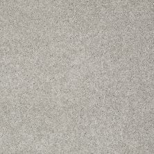 Shaw Floors Foundations Keen Senses I Net Lady In Gray 00590_E9767