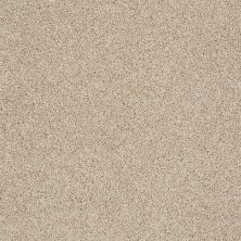 Shaw Floors Foundations Always Ready I Net Gold Rush 00290_E9770