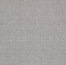 Shaw Floors Value Collections Sensible Now Net Silver Springs 00474_E9773
